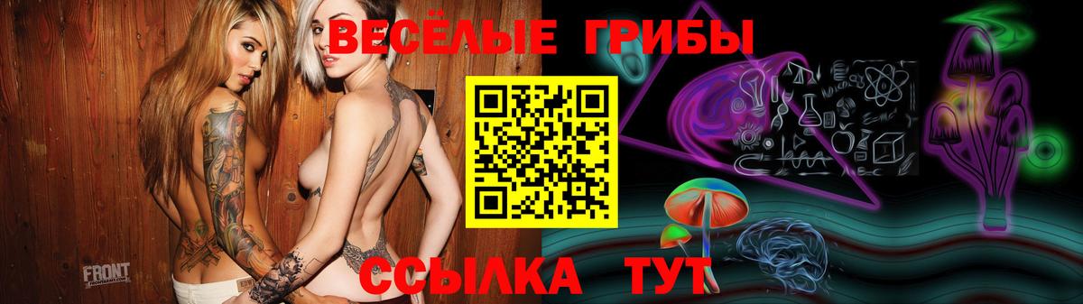 Галлюциногенные грибы Cubensis Лабинск